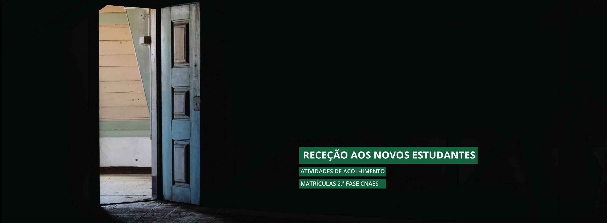 Receção aos novos estudantes e matrículas 2.ª fase